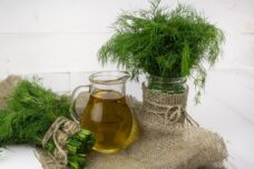Dill Kraut dill 2